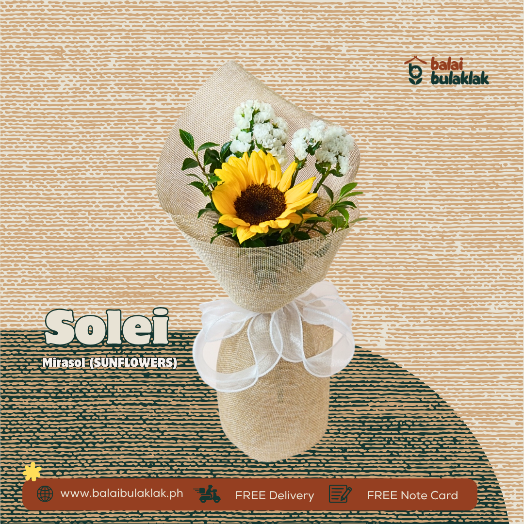 Solei