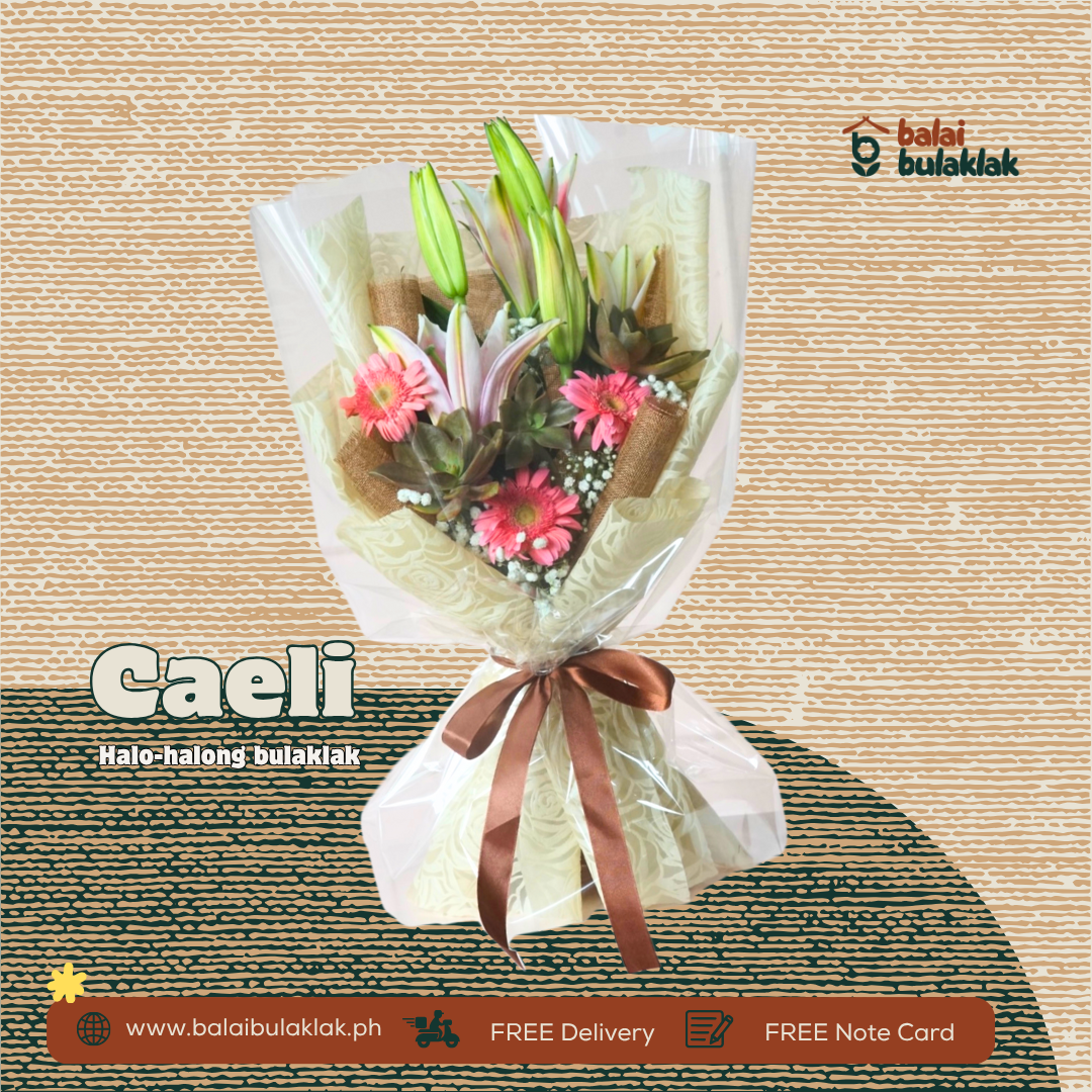 Caeli