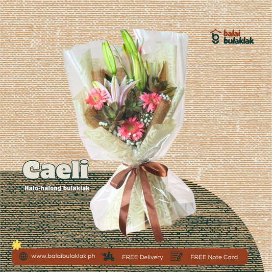Caeli