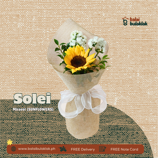 Solei