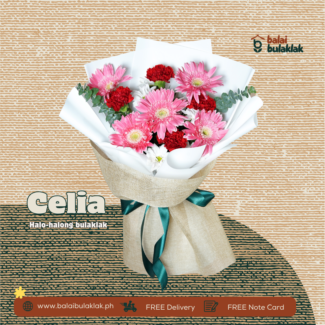 Celia