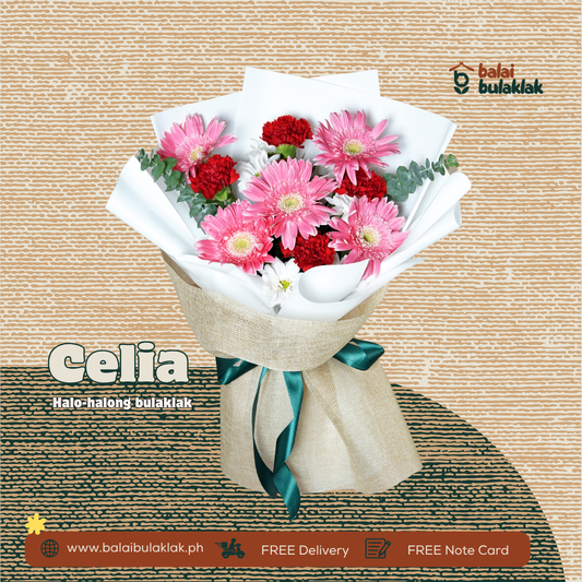 Celia